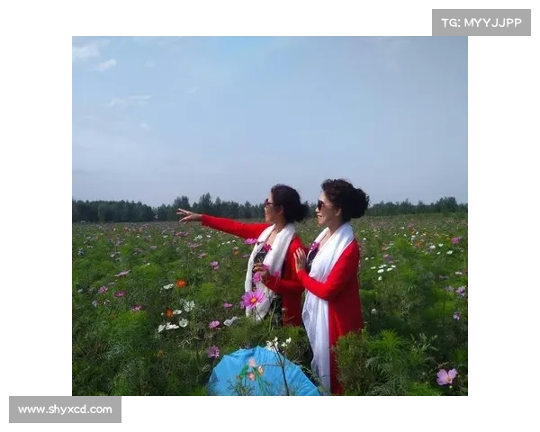 如何与爱猫共度一个浪漫温馨的鹊桥仙夜创造难忘回忆 如何与爱猫共度一个浪漫温馨的鹊桥仙夜创造难忘回忆