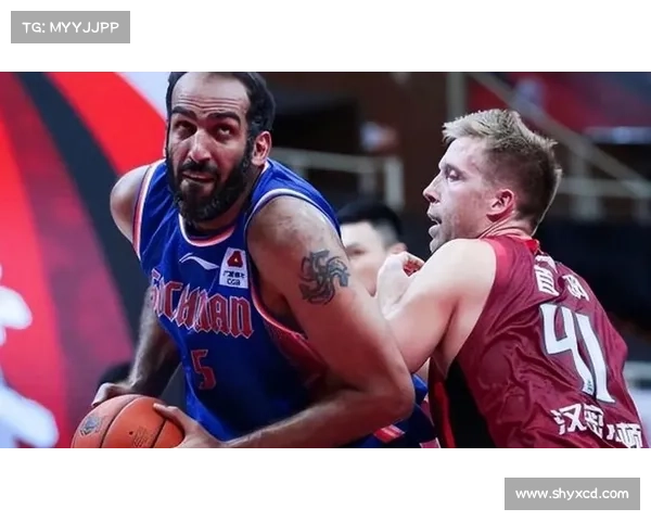 哈达迪为何决定继续投身职业篮球赛场的深层原因探究