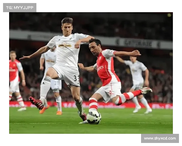 加的夫城足球俱乐部联赛历史回顾与现状分析