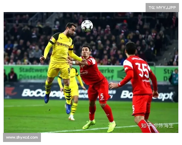 围绕澳洲杯赛事竞技水平五大关键要点的深度综述与展望全景解析篇