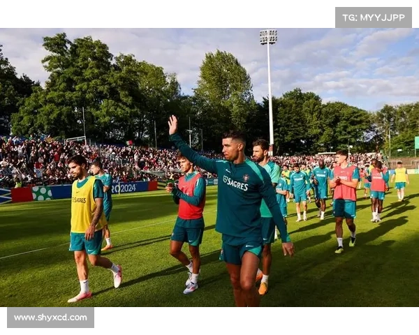 捷克主帅哈谢克谈C罗威胁分析直言葡萄牙核心作用巨大 捷克主帅哈谢克谈C罗威胁分析直言葡萄牙核心作用巨大