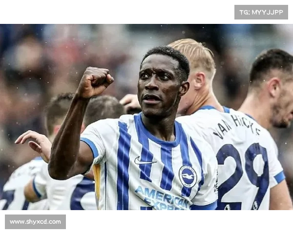 揭开维尔贝克黑贝之谜的五大真相深度解析未知秘密背后的逻辑